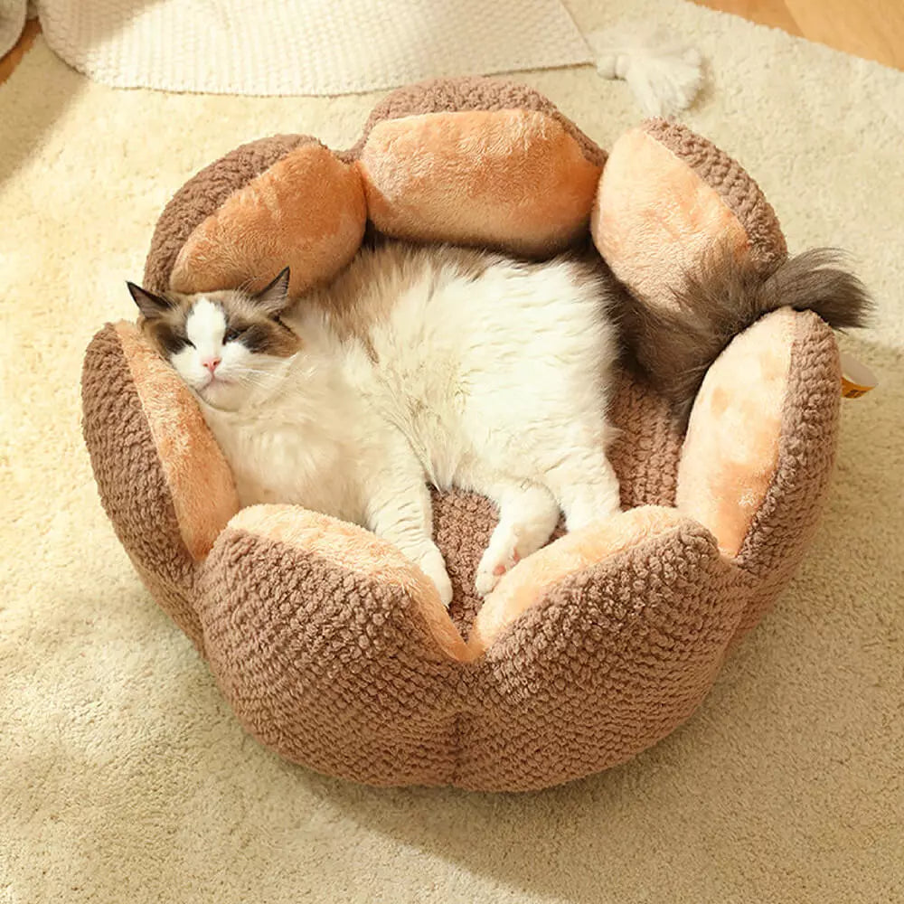 FluffyPuppy™ Brown / S fluffypuppy™ Cactus Bed