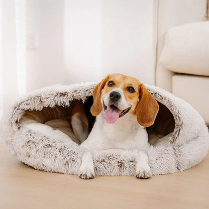 FluffyPuppy™ fluffypuppy™ beds Shell Bed