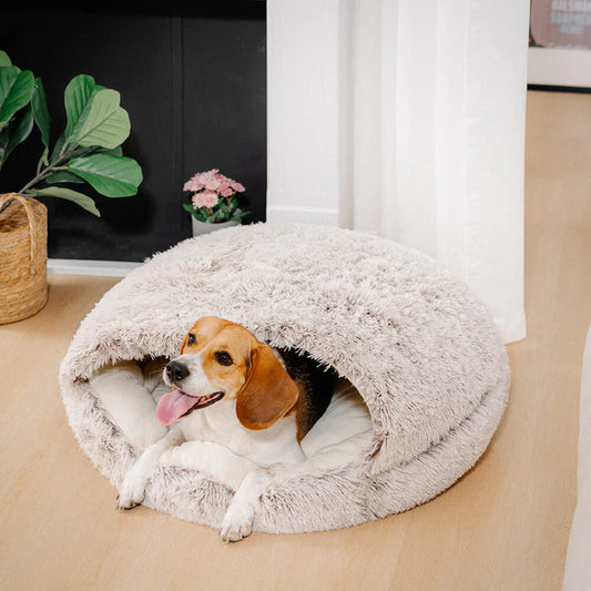 FluffyPuppy™ fluffypuppy™ beds Shell Bed
